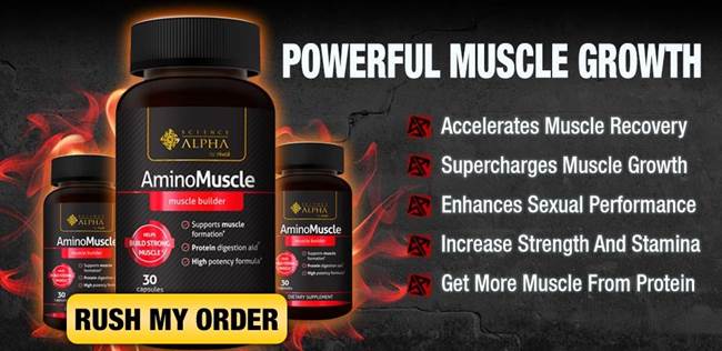 buy amino muscle